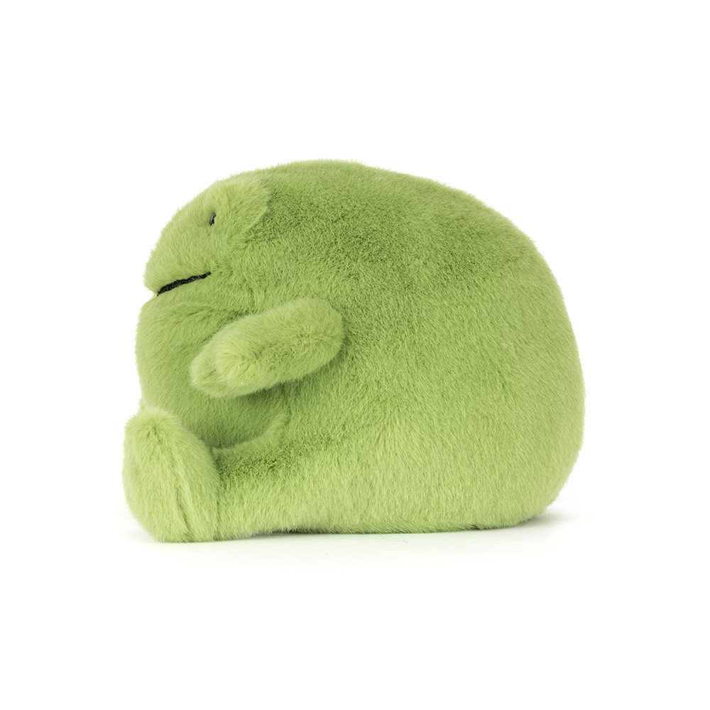 Ricky Rain Frog Smiling — image 2