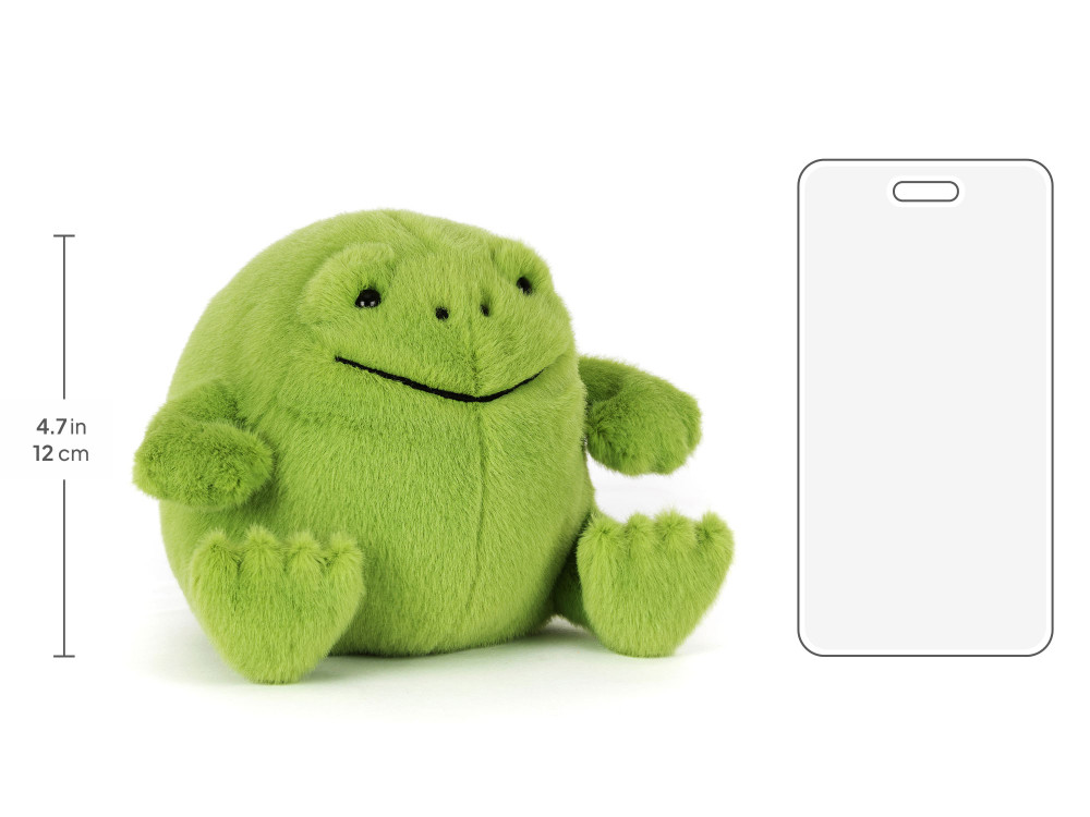 Ricky Rain Frog Smiling — image 5