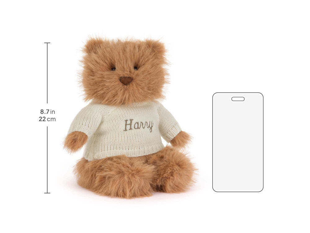 Bartholomew Bear Bouffant with Personalized Cream Jumper — image 6
