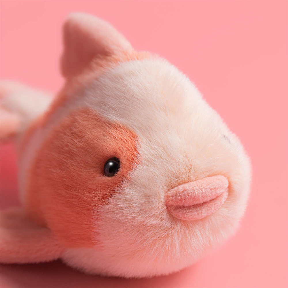 Fancy Carp — image 2