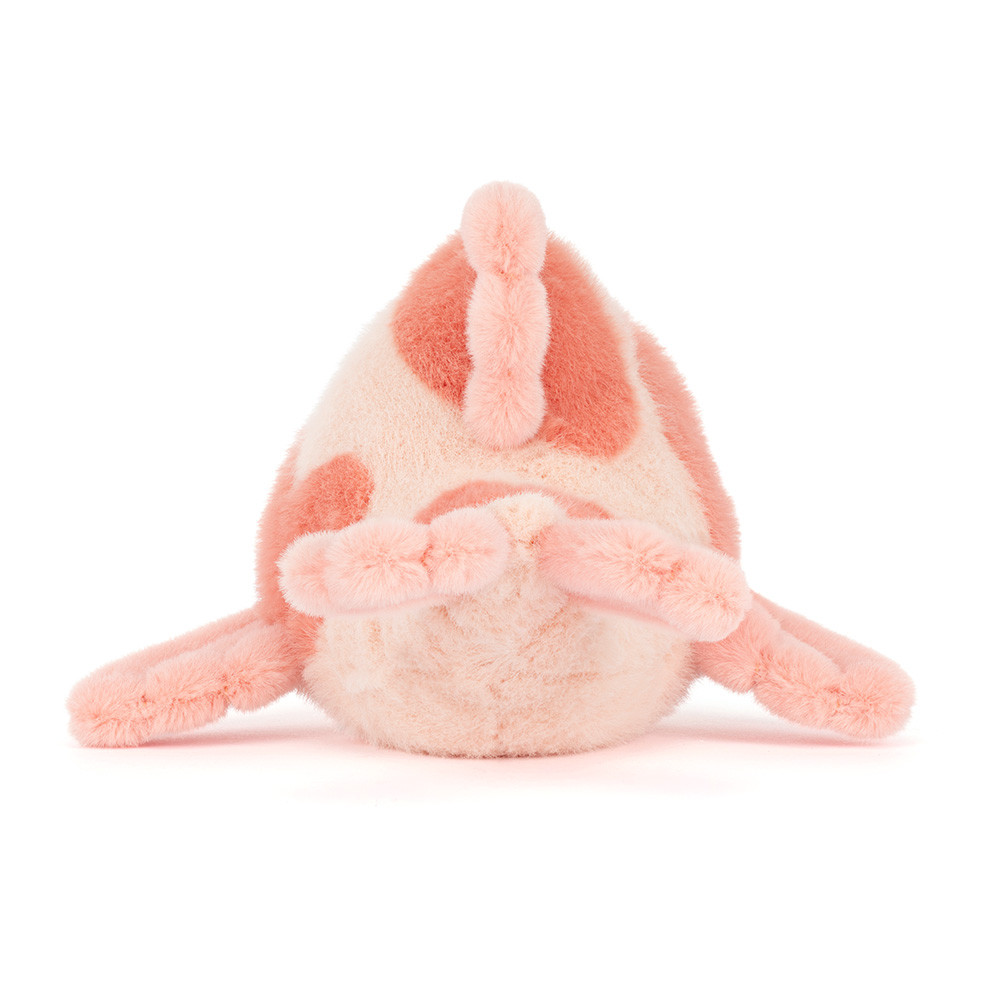 Fancy Carp — image 4