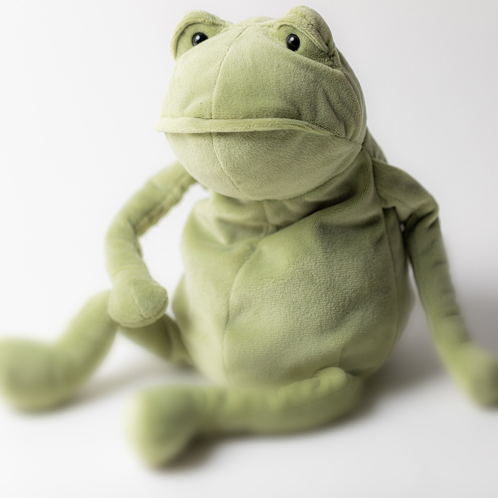 Fergus Frog — image 8
