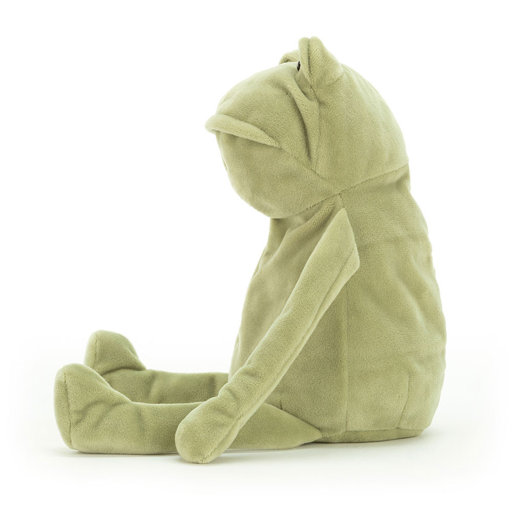 Fergus Frog — image 9