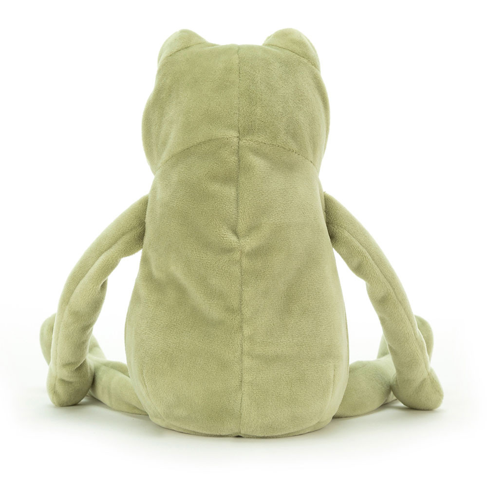 Fergus Frog — image 10