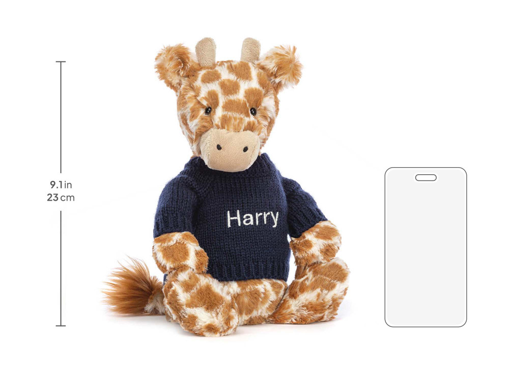 Bashful Giraffe with Personalized Navy Jumper — image 5