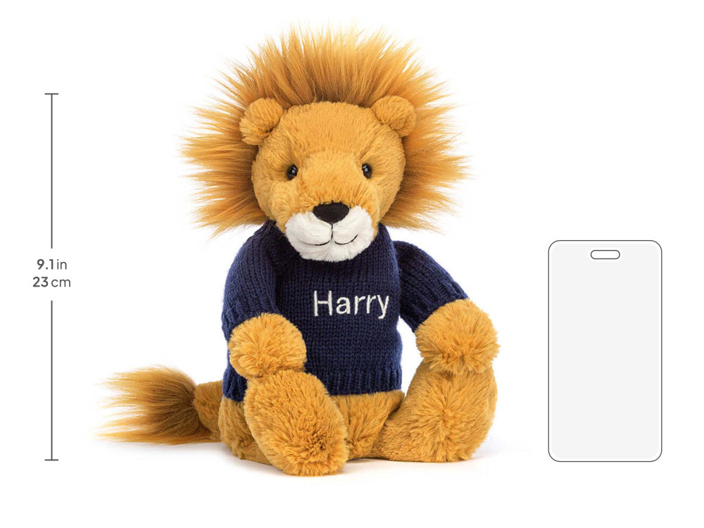 Bashful Lion with Personalized Navy Jumper — image 5