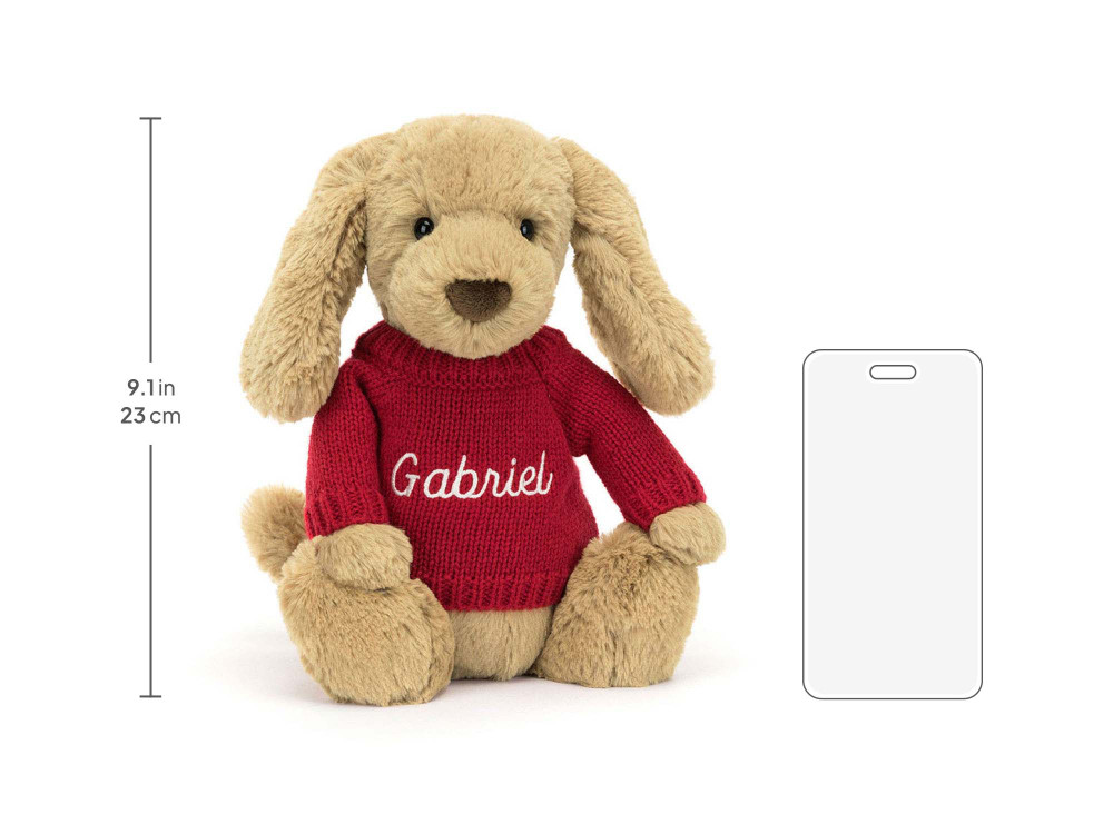 Bashful Toffee Puppy with Personalized Red Jumper — image 5