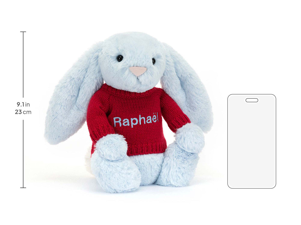 Bashful Blue Bunny with Personalized Red Jumper — image 5