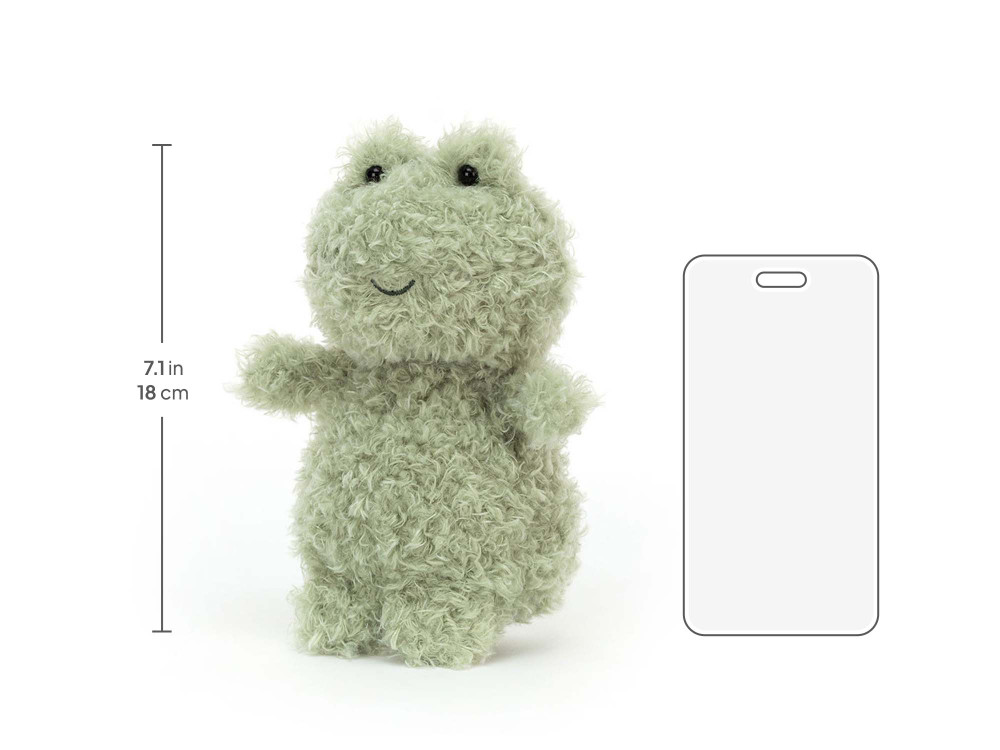 Little Frog — image 4